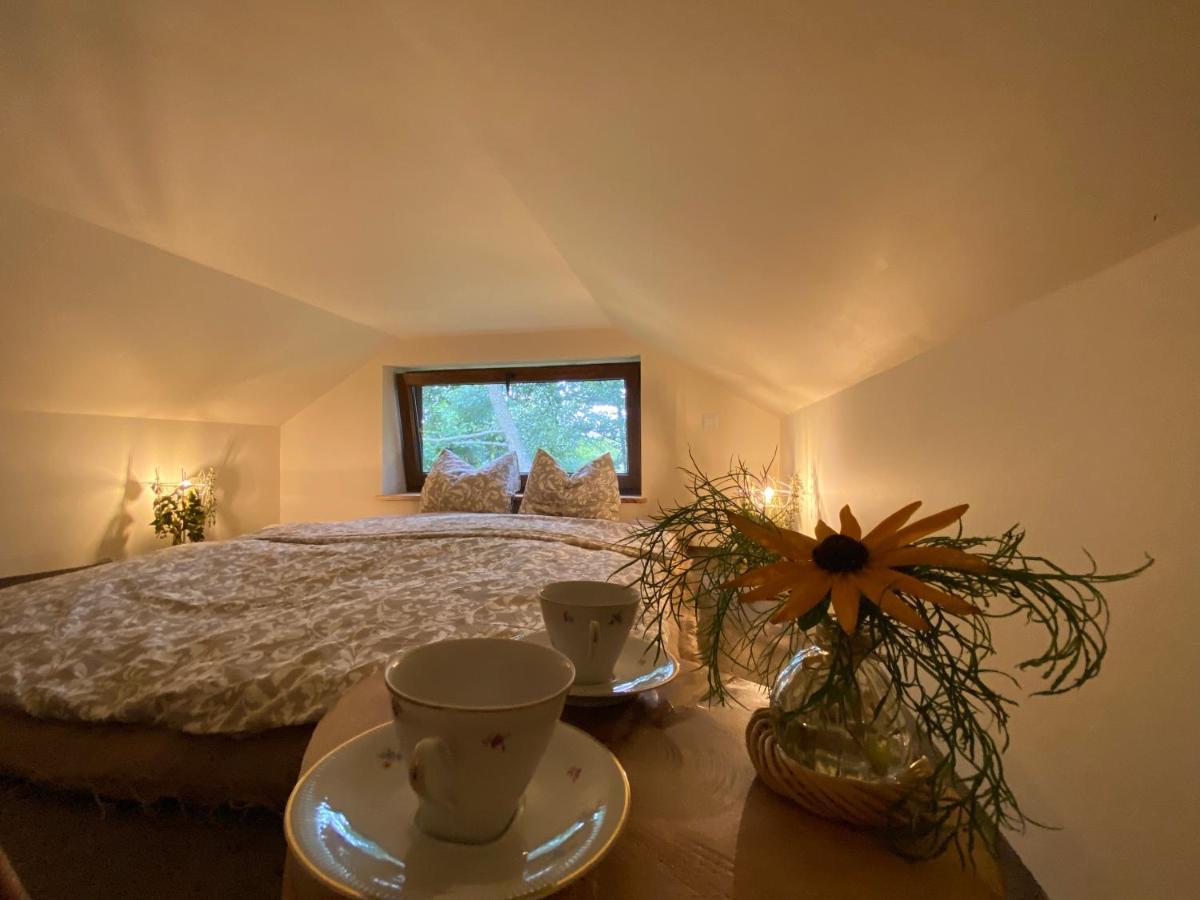 Villa Siedlisko Odpoczynkowo à Nowosiolki  Extérieur photo